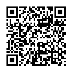 这引起了万山管理层的极大不满――马真人都说了二维码生成