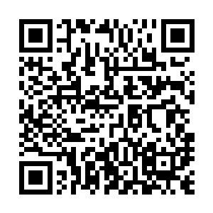 这张由因果线织成的命运之网就出现了一个前所未有的亮点二维码生成