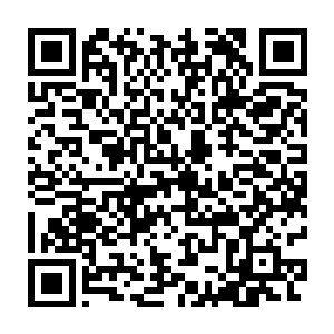 这录像的内容正是他和张雪海两人在碧海蓝天那个地下森林里的情景二维码生成