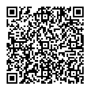 这恐怖的虚影跟之前的时候出现在玄道宗的那个混沌天境界高手最后召唤出来的虚影的气息有些相似二维码生成