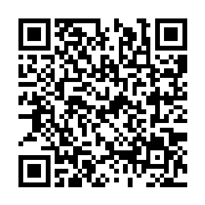 这意味着他们与王绝灭的距离远远低于之前的预计二维码生成