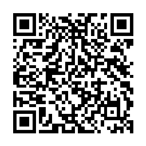 这手段即便是在整个苍穹天宇之中也绝对是最顶尖的炼丹师了二维码生成