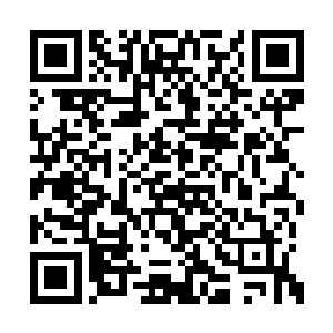 这才叹了口气捏了捏手中并不厚实的信回了府中二维码生成