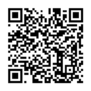 这才想起了之前确实有交代这变异果王要留着等到事情定下二维码生成