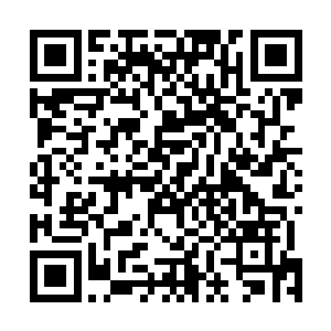 这才有资格参加这一次的圣山试炼的……没有达到至尊境二维码生成