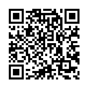 这支潜伏在安莫尔城的赤潮小队全员出动二维码生成