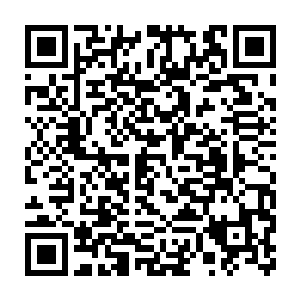 这支队伍给我们展现出来的已经不再是春季赛上那支无脑就是干的lcd二维码生成