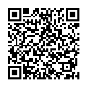 这攻击力方面可就不比至尊境强者的罡气外放差多少的了二维码生成