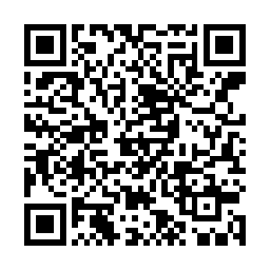 这时候显然不是开小差的时候……那个杀手移动的很快二维码生成
