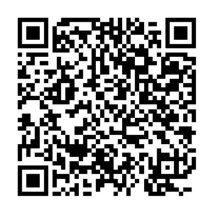 这时候的他一旦接收到同类的信息素便非常容易受到支配从而――二维码生成