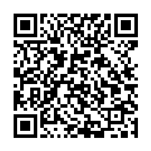 这时站在人群前排的众位皇子却是不约而同的站出来二维码生成
