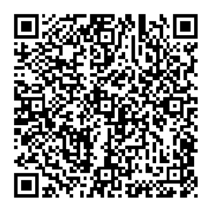 这是……白龙镇……潜龙岛上……一共……有五个镇子……除了白龙镇以外……还有青龙镇……黄龙镇……黑龙镇……蓝龙镇二维码生成