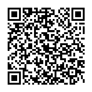 这是专门为列席常务会议的人大政协以及其他列席人员准备的席位二维码生成