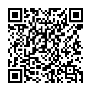 这是世界顶级造船厂专门针对超级富豪们的专业定制展览会二维码生成