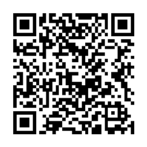 这是他们提意见要求扩大抱朴斋秋拍会规模的根本动因二维码生成