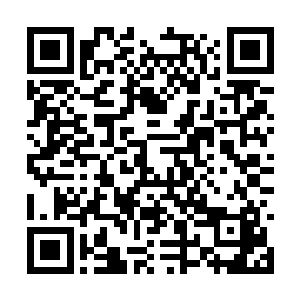这是他们职业生涯中最成功也是最失败的一次主持二维码生成
