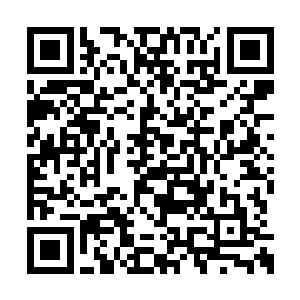 这是他安插在司马懿身边的心腹冒死传回的消息二维码生成