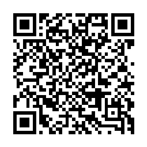 这是仙尊大人为每一个初初飞升本界的修行者准备的基本盘川二维码生成