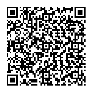 这是何等强悍 倘若下方沒有这神秘的水潭 只怕是这从天而落下的瀑布 就足以击穿一切了二维码生成