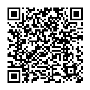这是司徒威这个锦衣卫的左监察官让他们一直盯着宁王朱宸濠的结果二维码生成