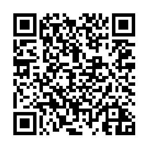 这是因为第五小队的人在上次鬼界罗刹进攻幽冥的时候二维码生成