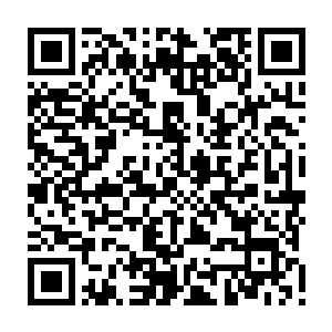 这是大荒门利用南疆亿万大山之中的九九八十一种天材地宝酿造的壮神酒二维码生成