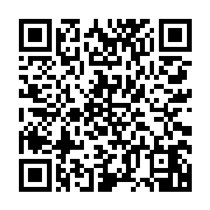 这是张靓让杨夏冰和张志学带着大量资源过来的重要原因之一二维码生成