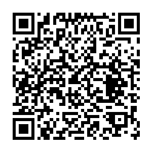这是我利用从天庭所得到的泯神石改造和炼制出来的微型侦测机械人二维码生成