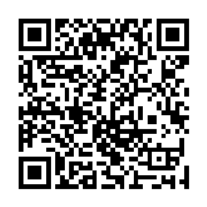 这是每个国家的每个财政大臣财政部长们所最愿意看到的二维码生成