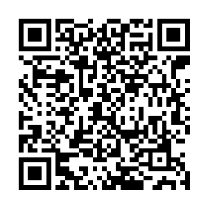 这是玩机甲世界的人唯一能用积分兑换的一种最顶级的机甲二维码生成