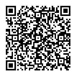 这是秦方为这一招所取得名字……也是他目前可以动用四象元气组合成的第一招秘术二维码生成