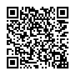 这是角色和实力决定了他们在食物链上所处的位置二维码生成