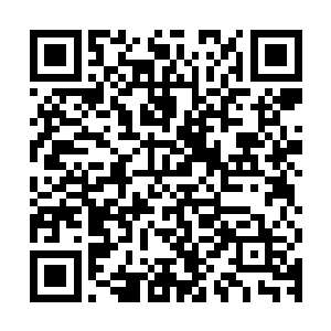 这是过去一周时间里公司上下的汇报以及接下来一周行程的安排二维码生成