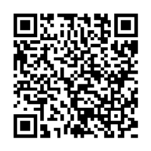 这是S级的力量……他什么时候真的变成S级了……血炼中的他二维码生成