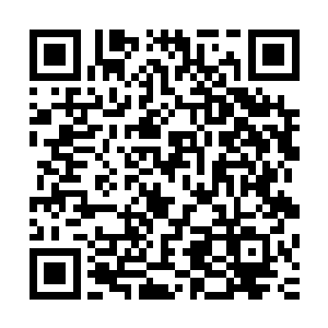 这本书算是被无极域留存下来的唯一一本记录当年之事的古籍二维码生成