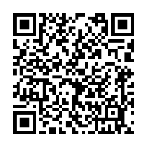 这林悦不仅屁股被马桶的碎片给割伤了流了许多血二维码生成