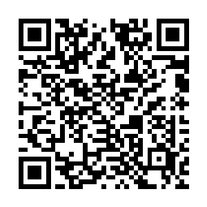 这枚水蓝晶和她在无边海地下洞府内收获的水系精华根本不一样二维码生成