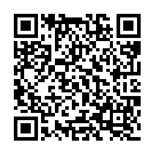 这样一个代表符盟出赛的制符师会出身于一个粗鄙的冒险团二维码生成
