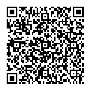 这样一场不算闹剧的闹剧也就突然虎头蛇尾一般的收场了……话说秦方和那个黎耀南的保镖先后离开了宴会厅二维码生成