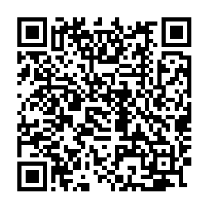 这样一来明天三顿饭加上明天晚上一宿生活费也就稳稳的到手了……二维码生成