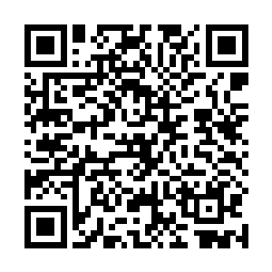 这样以后我就有时间可以为堡主打人盖几所漂亮的房子二维码生成