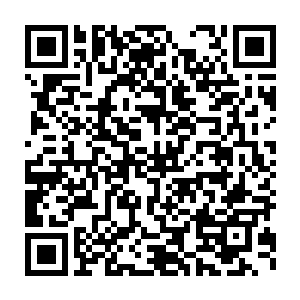 这样公然地聚在一起谈论府中的两位公子爷和两位没过门的少奶奶二维码生成