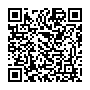 这样大幅度的动作会让杀戮神体内的力量消耗得更快二维码生成