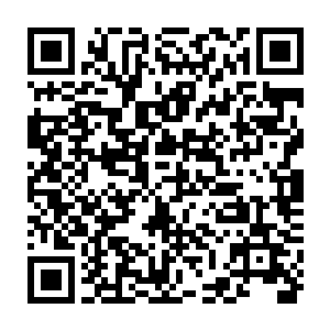 这样庞大一个城市总体规划设计当然不是他陆为民一个人脑袋一热就能拍板的二维码生成