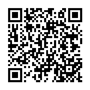 这样才能让我们的铅笔和粉笔才能得到可持续发展二维码生成