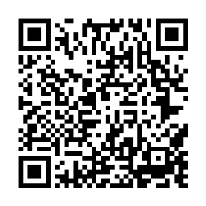 这样的做法与风格很快的和其他的杀手组织发生了冲突二维码生成