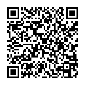 这样的她才是符合被忠勇侯府封闭隐藏关在府中不踏出府门多年的小姐的样子二维码生成
