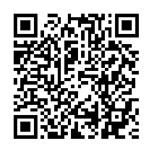 这样的渔获有五分之一的延绳渔船整个鱼季都不一定能钓的到二维码生成