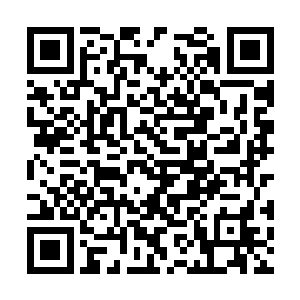 这样的错误犯一次就足够就已经让井豪感羞愧无比二维码生成