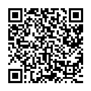这样看可看不出是一路恨不得往江水里撒钱铺路的人家的大小姐二维码生成